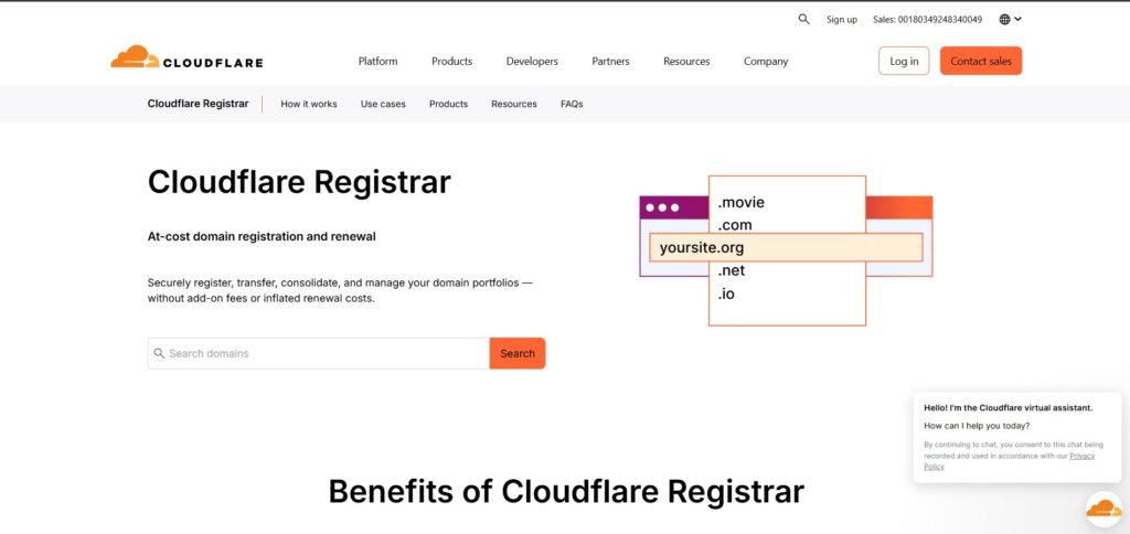 Tampilan Cloudflare Registrar